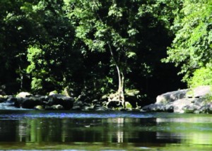 Rio Quilombo