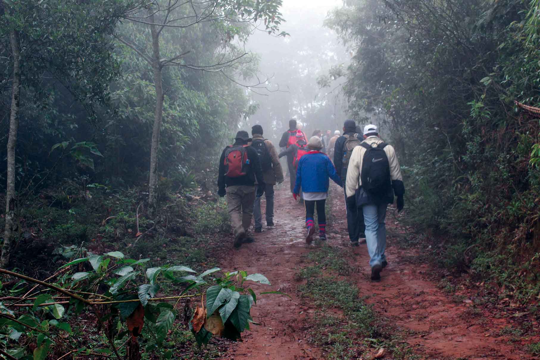 Piquete-Esporte-Trekking-Pico-dos-Marins-Troupe-da-Trilha-Monitores-Ambientais-bx