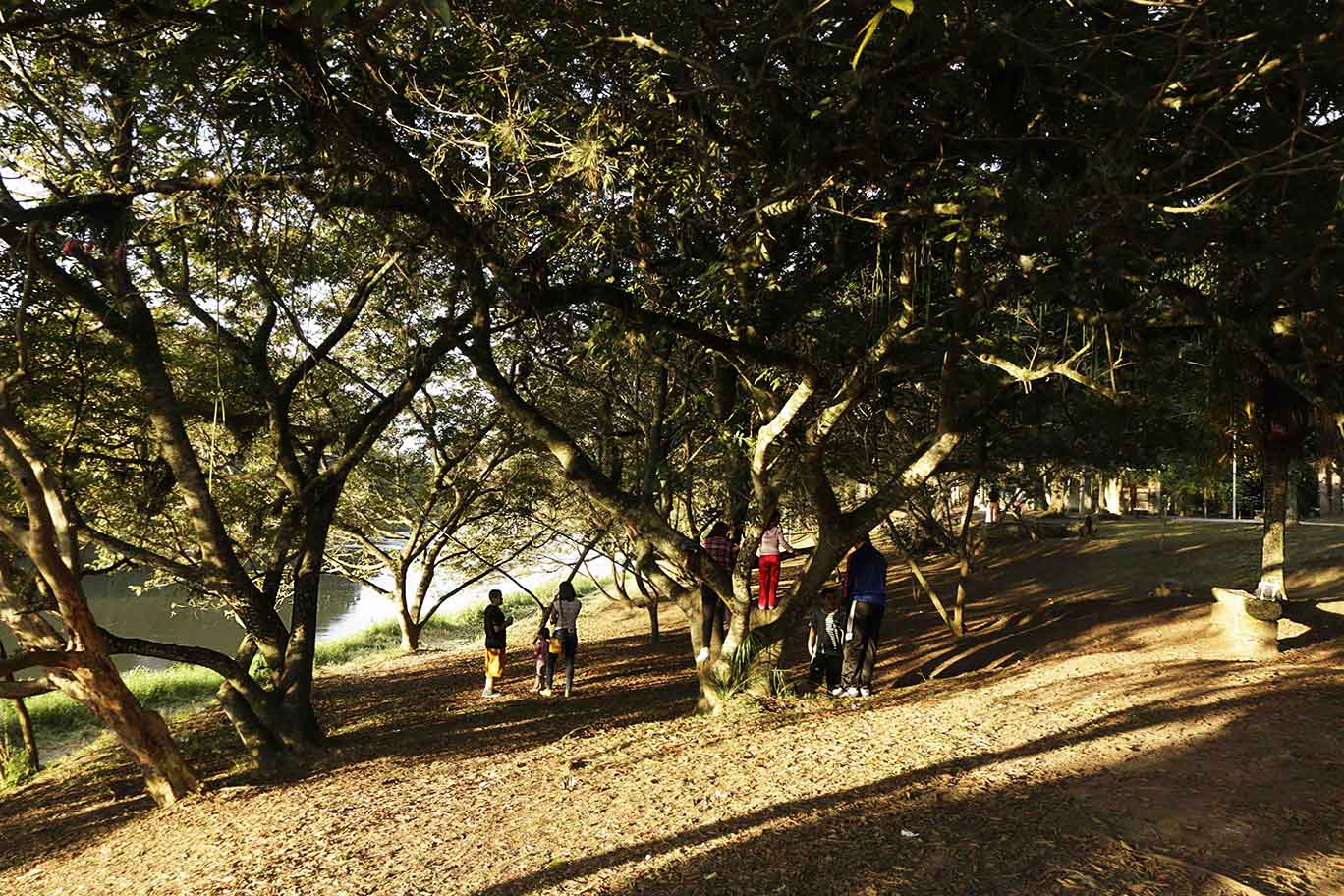 Bosque da Princesa em Pindamonhangaba -_MG_6929-bx