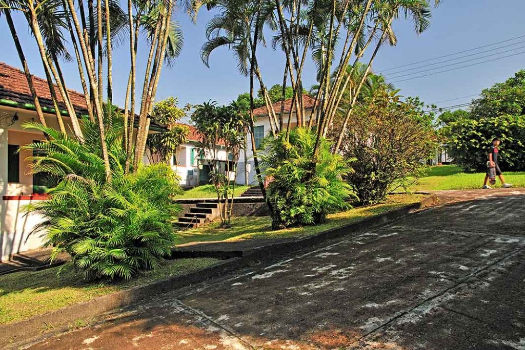 Vila Light