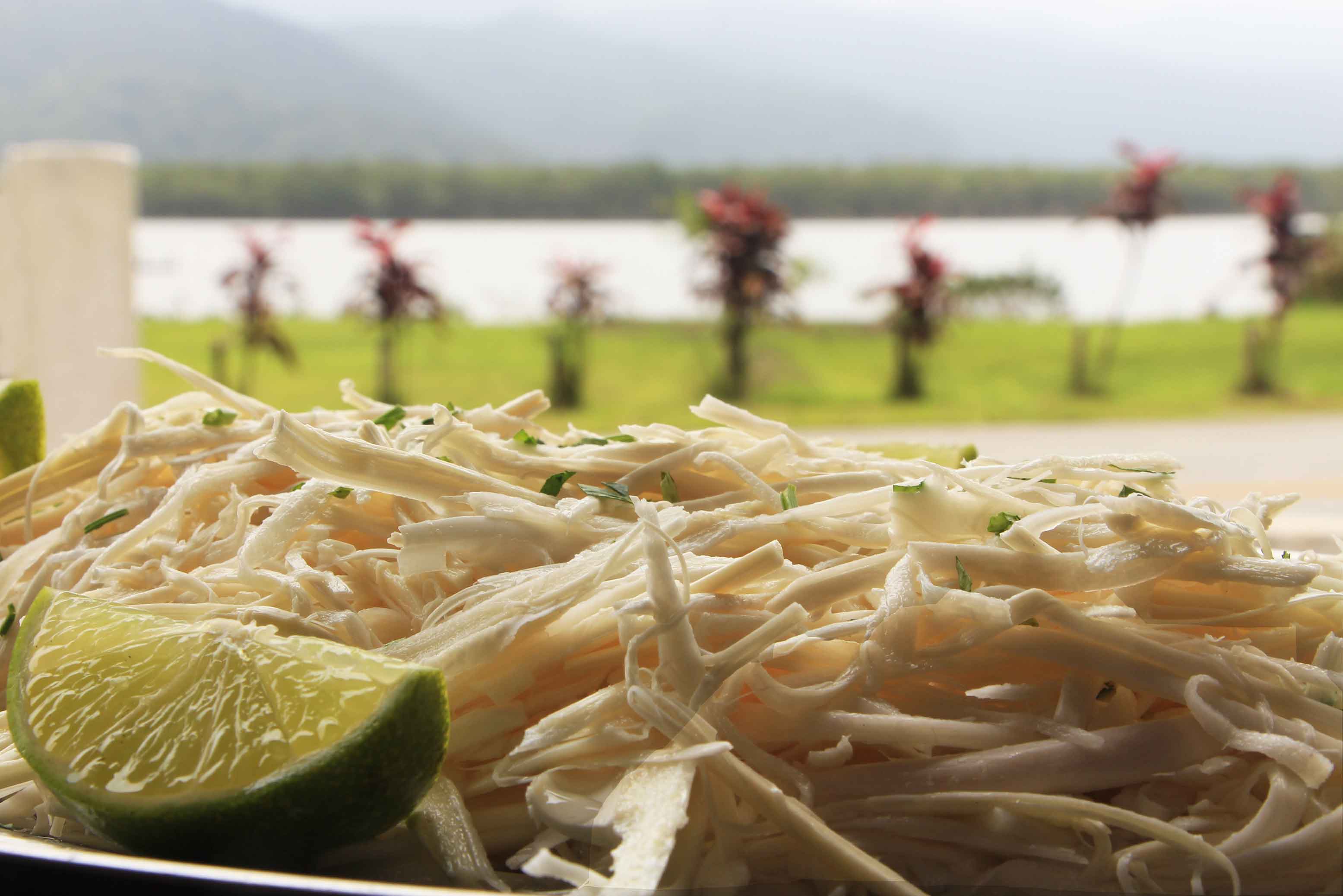 Guaruja-Gastronomia-pupunha-Salada-de-Palmito-cru-Rest-Joca-bx