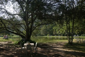 Itanhaem-Turismo-Rural-Pesqueiro-Vale-da-Serra-MMasulino-bx
