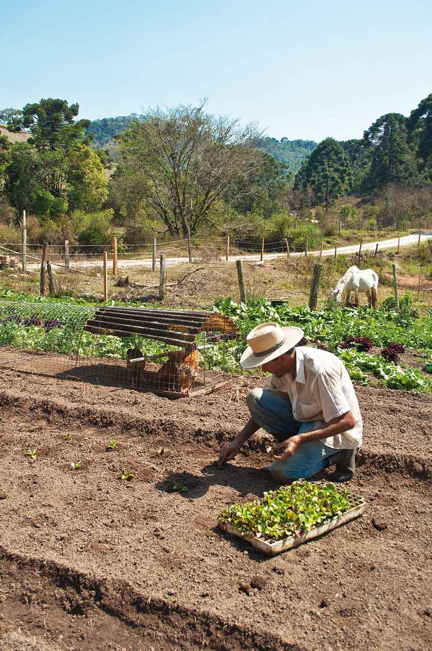 Mantiqueira-Aromas-e-Sabores-Plantacao-Organicos-Roberto-Torrubia-bx