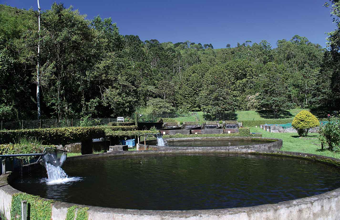 Regiao-Visconde-de-Maua-Turismo-Rural-Pesqueiro-Truta-Rosa-bx