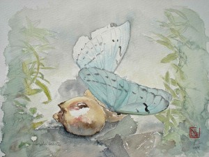 Visconde-de-Maua-Artes-Nivea-Leite-borboleta-morpho-laertes-na-goiaba-bx
