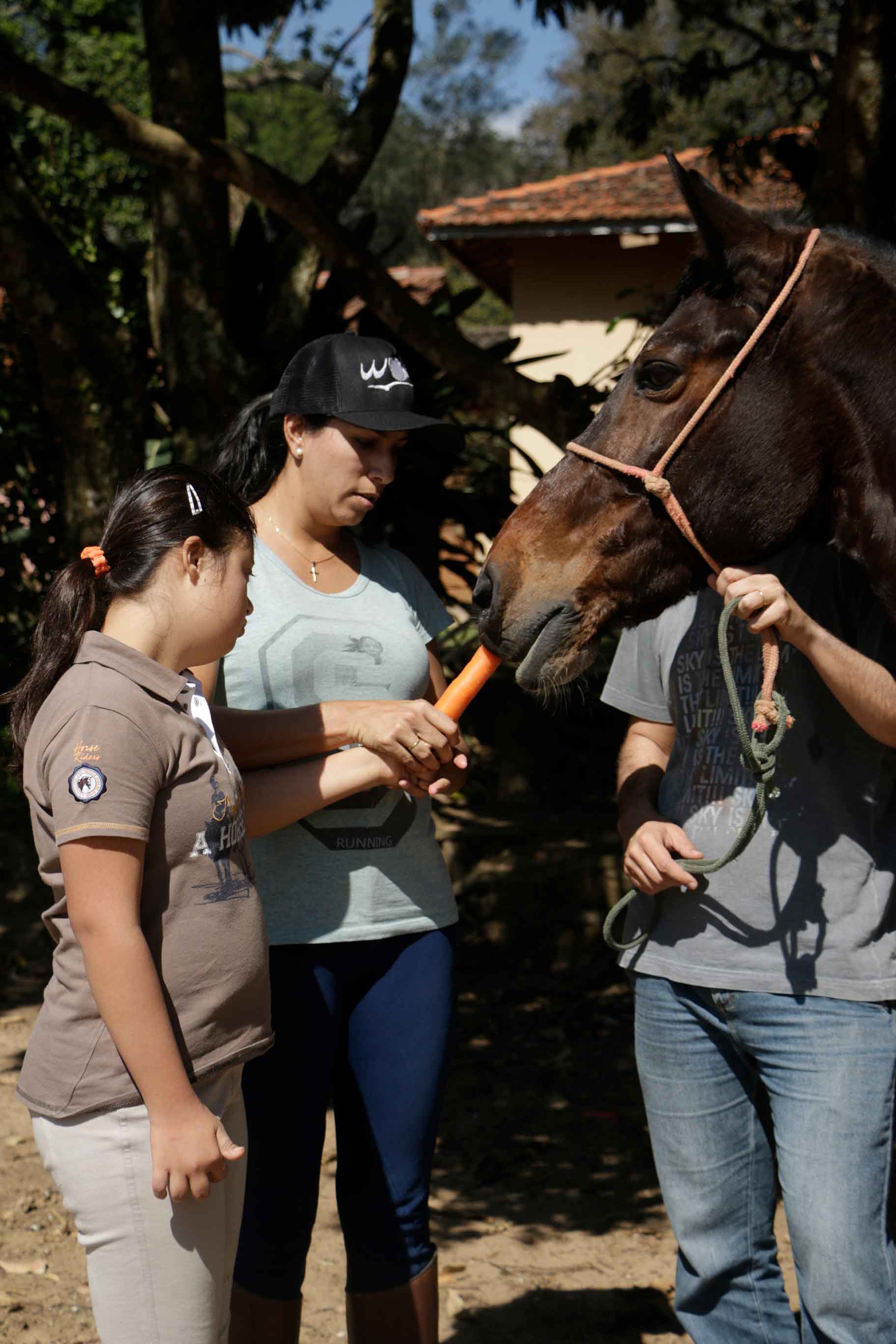 Haras Scarelli-atibaia-turismo-rural-equoterapia-_MG_8957-bx