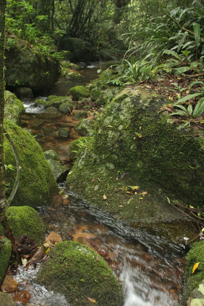 Parque Estadual de Ilhabela