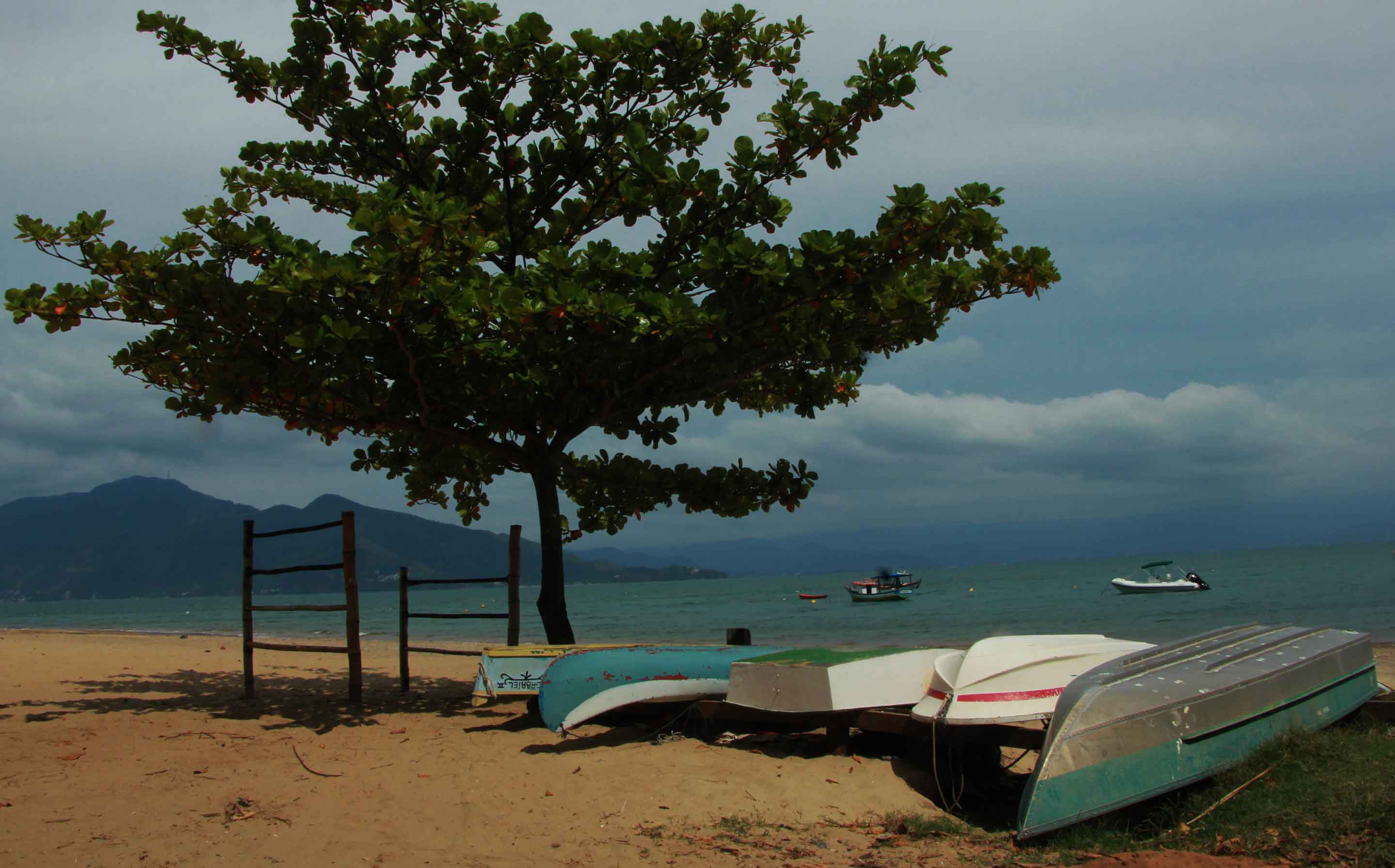 Praia da Armação. Foto: Marcio Masulino