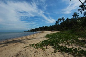 Praia de Garapocaia. Foto: Marcio Masulino