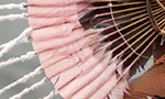 banner-superior-728×90