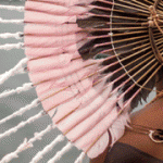 banner-superior-930×180-1