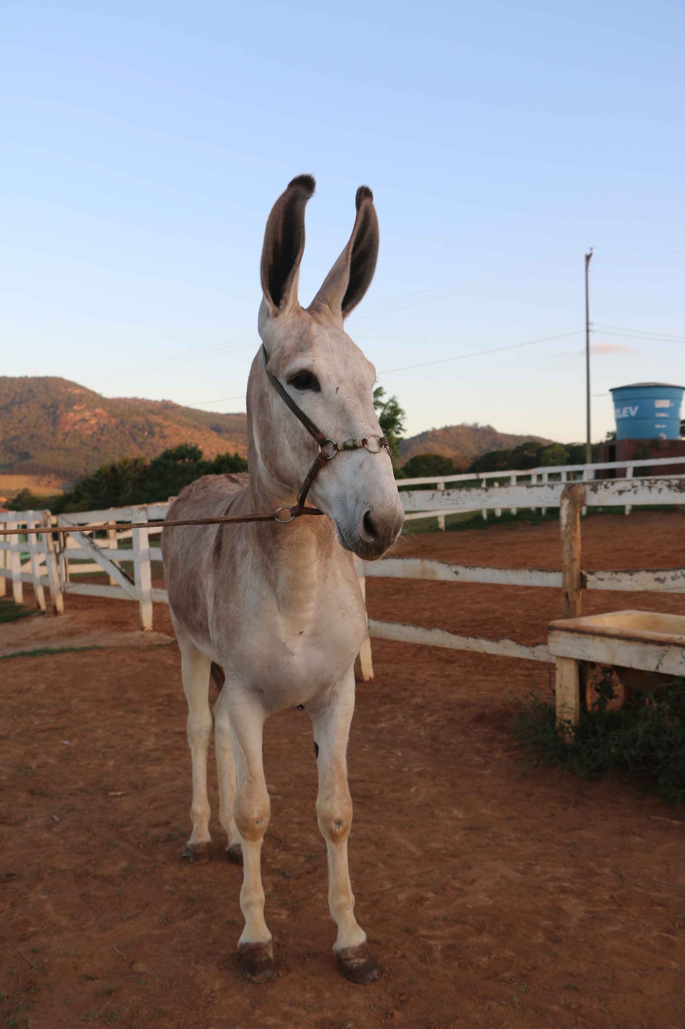 Rancho Tropeiro-braganca-paulista-turismo-rural1796-bx