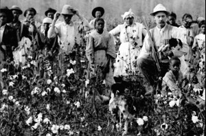 Ciclos históricos de Campinas