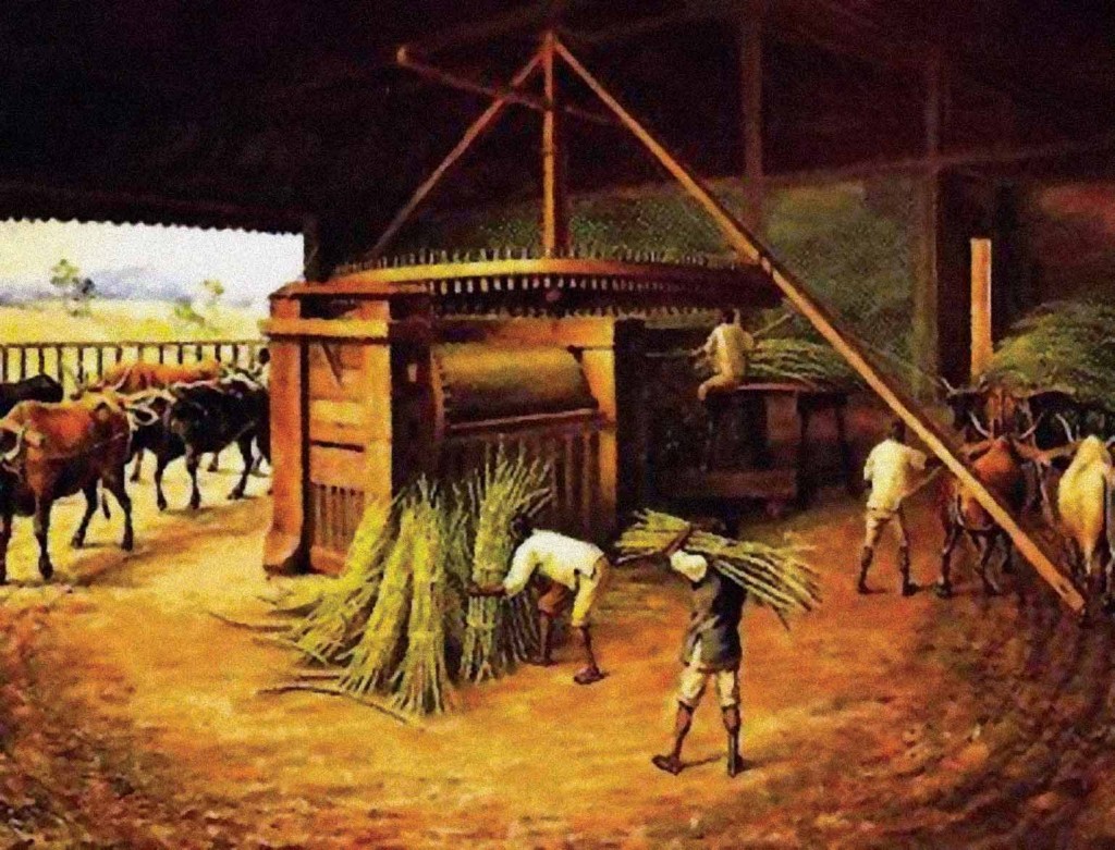 Ciclos históricos de Campinas