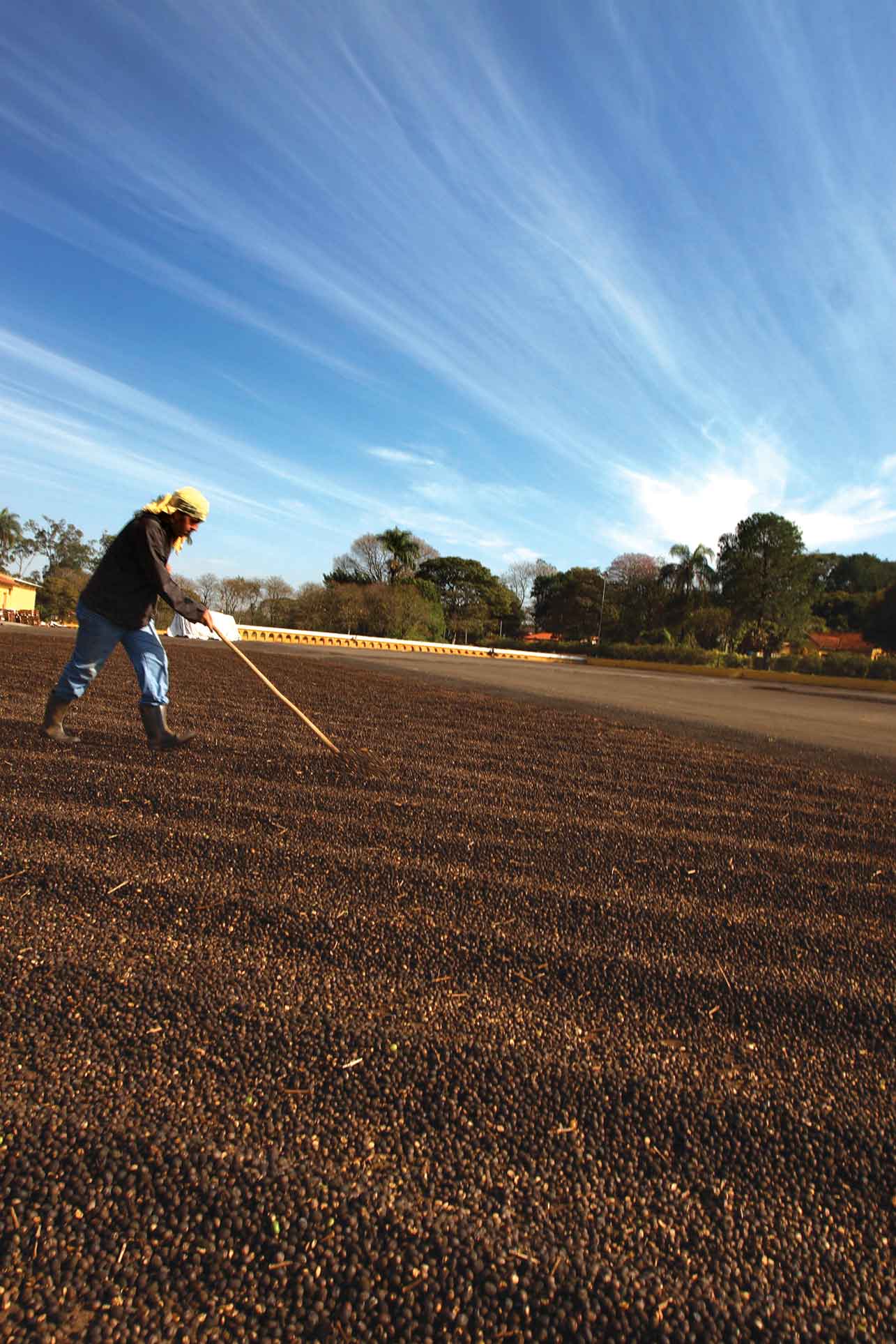 Fazenda Japonesa, Xadrez Defumado Verde