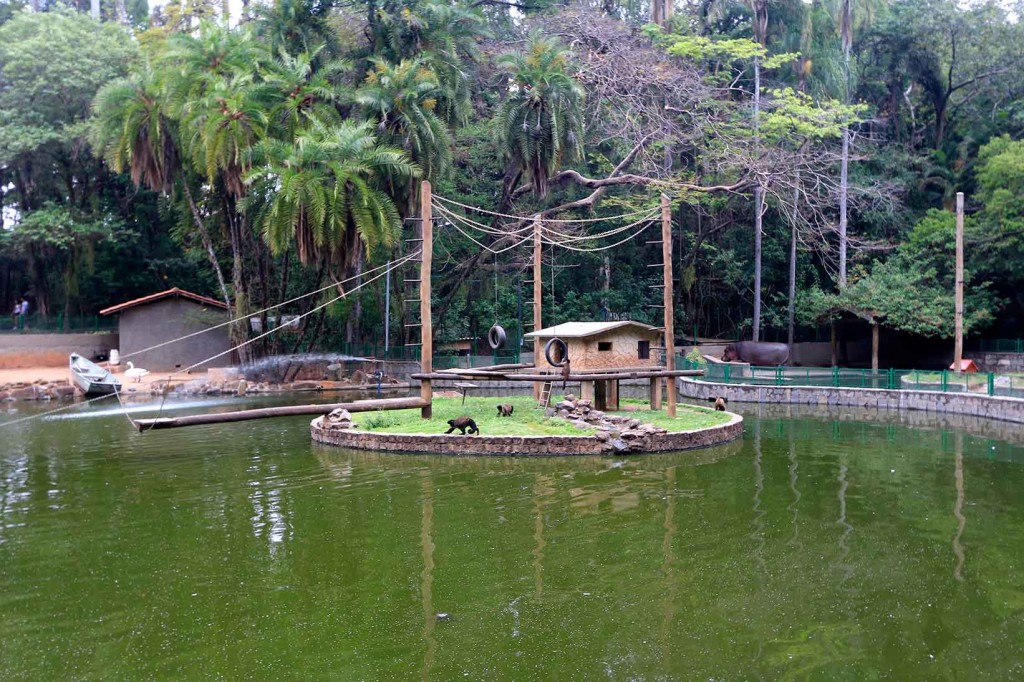 Bosque dos Jequitibás em Campinas