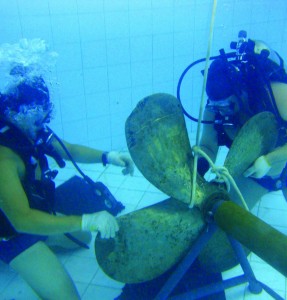 Divers University em Santos