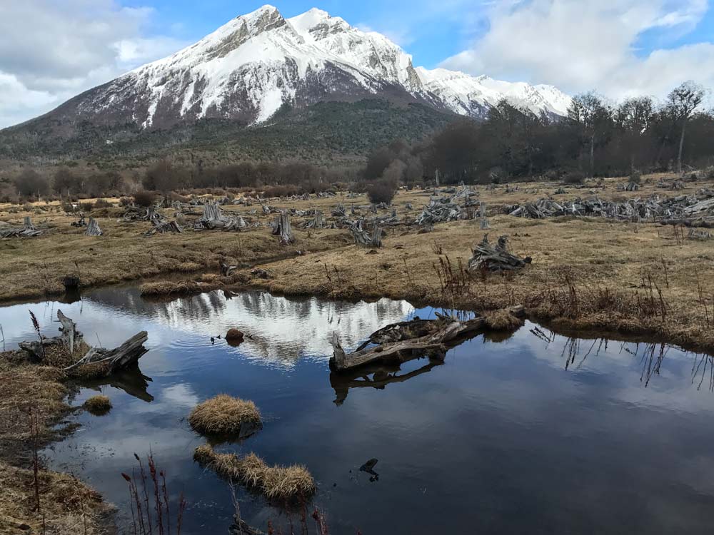 Parque Nacional Tierra Del Fuego