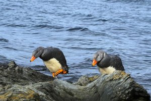 Parque Nacional Tierra Del Fuego