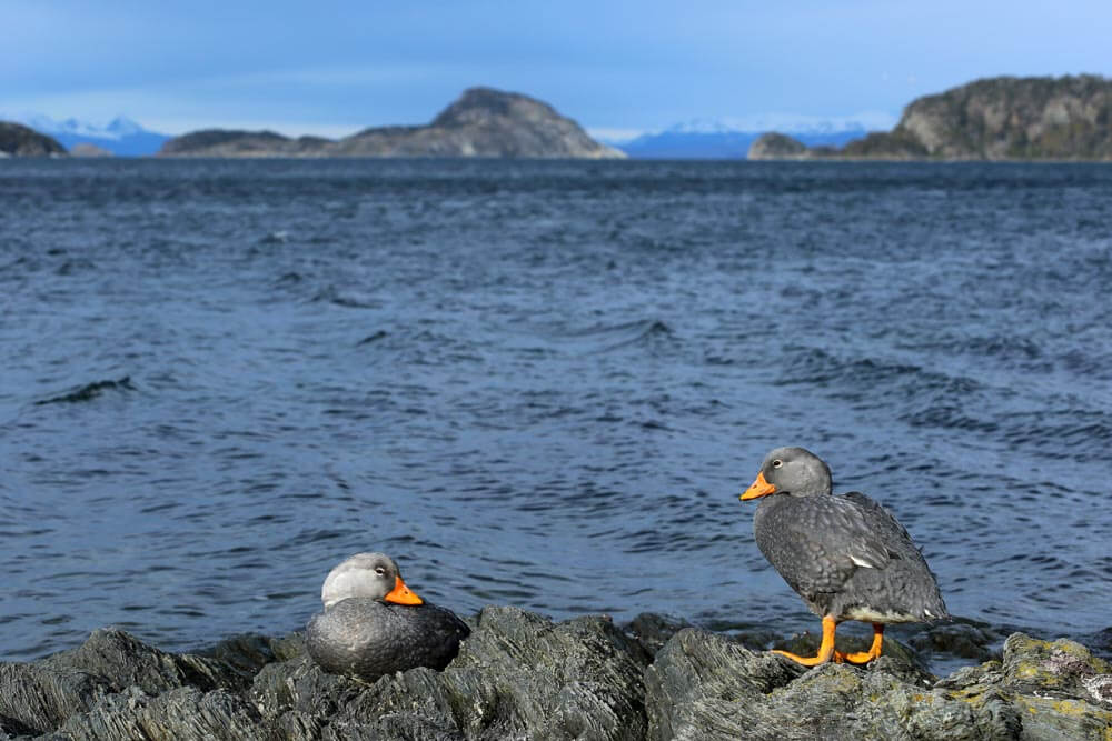 Ushuaia - Baía de Lapataia - Parque Nacional