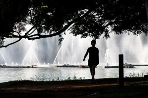Parque Ibirapuera