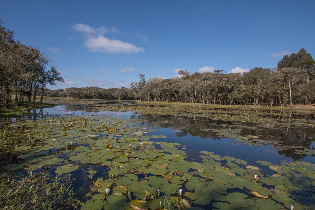 Dicas do que visitar na Serra Catarinense