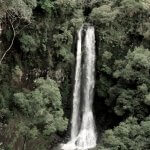 Canela-Ecoparque-Sperry-vale-do-Quilombo-divu6033-web