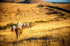 Cavalgada nas Serras Catarinense e Gaúcha