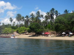 Praia dos Carneiros