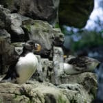 oceanario-de-lisboa-cidadeecultura-6671