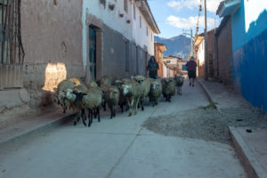 Moray-Cidade&Cultura-Marcio Masulino