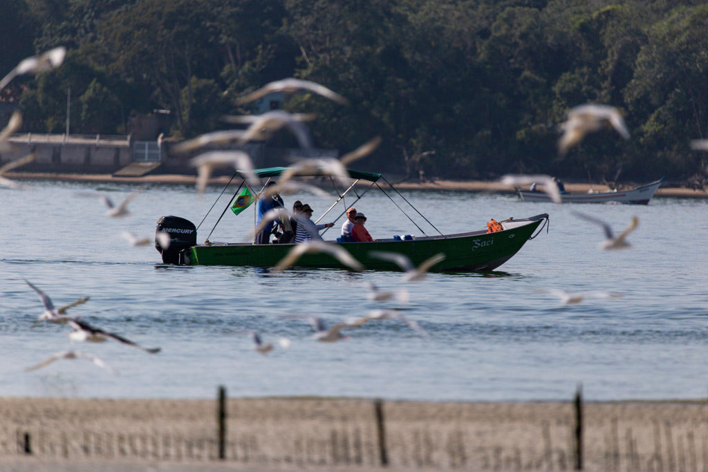 passeios de barco em Cananeia