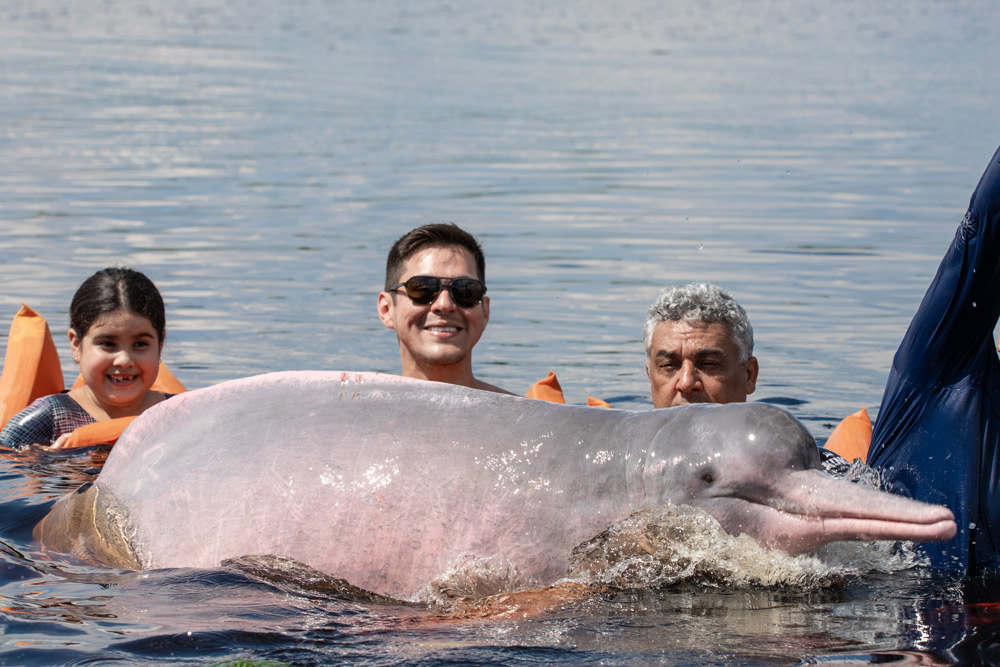 Nadando com o boto-cor-de-rosa