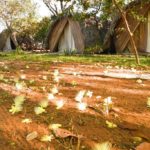 Jalapao-buritibanas-Ecolodge-Foto-Caroline-Maki-54-web