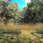 Serras-Gerais-Cachoeira-Brejo-Limpo-ft-Emerson-Zamprogno-18-web