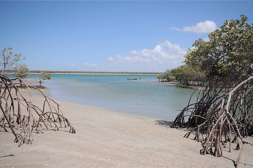 Cajueiro da Praia - PI