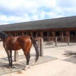 cidadeecultura-haras-golf-campos-do-jordao-IMG_8271