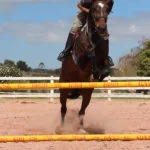 cidadeecultura-haras-golf-campos-do-jordao-IMG_8403