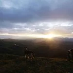 Santo-Antonio-do-Pinhal-Meio-Ambiente-Pico-Agudo-IMG_7133-bx