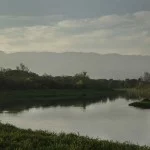 pindamonhangaba-meio-ambiente-rio-paraiba-bosque-princesa-_MG_6939-bx
