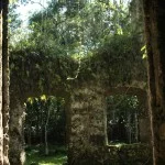Ubatuba-historia-ruinas-da-lagoinha-318-bx