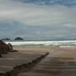 Ubatuba-meio-ambiente-praia-brava-da-almada-037-bx