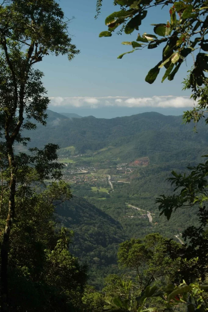 Ubatuba-meio-ambiente-serra-do-mar-525-bx