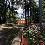 Andre-Prata-Bragança-imagem-115bx