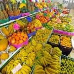 Andre-Prata-Bragança-mercado-bx