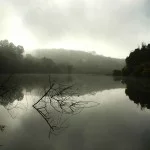 Andre-Prata-Bragança-paisagem-bx