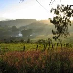 Andre-Prata-Bragança-rural-IMG_0905-bx