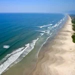 Bertioga-Meio-Ambiente-Praia-de-Guaratuba-Renata-Brito-bx