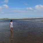 rp_Bertioga-Meio-Ambiente-Praia-do-Itaguare-IMG_8101-bx-1024×683.jpg