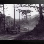 Campos do Jordão-Historia-Acervo-Edmundo-Ferreira-Rocha-bx
